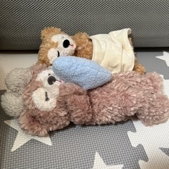 ダッフィーとシェリーメイ 眠っているぬいぐるみの画像
