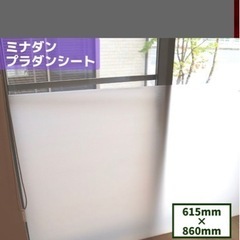 プラダン　10枚　