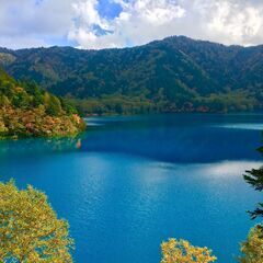 【志賀高原】ホテル客室清掃☆住み込み・通い可☆個人のお客様が中心のアットホームな宿です。の画像