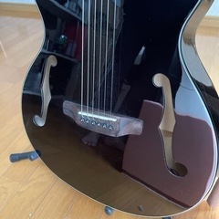 エレアコ　ARIA FET-F2/BnG BK(Black) の画像