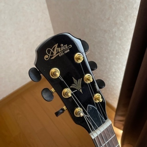 エレアコ　ARIA FET-F2/BnG BK(Black) 