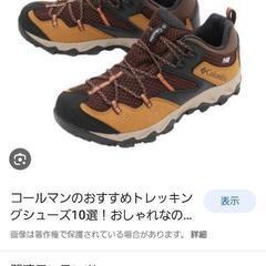 コールマンのトレッキングシューズですの画像