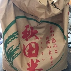 お米　あきたこまち　令和4年度産