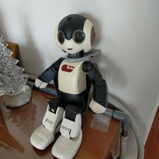 週刊ロビ2本体および週刊ロビテキスト72号までの全巻譲ります、