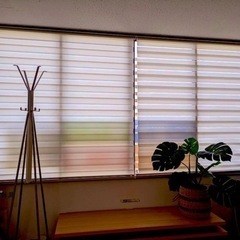 無料レッスン受付中❗️相模大野駅前スタジオ🧘‍♀️スタイルアップヨガの画像
