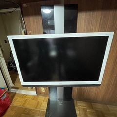 テレビ
