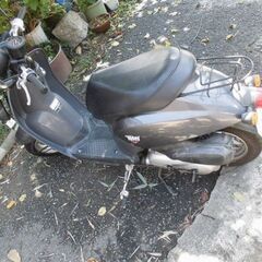 原付ホンダトゥデェイ５０ｃｃの画像