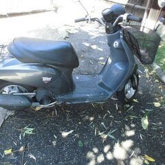 原付ホンダトゥデェイ５０ｃｃの画像