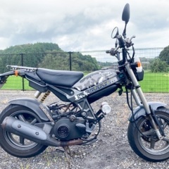 【売約済み】希少 ストリートマジック50 110cc スクーター 実働 整備済みの画像