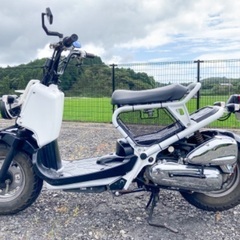 【売約済み】走行距離8150km ズーマー キャブ 50cc スクーター 実働の画像