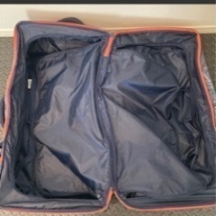 ロキシー　キャリーバッグの画像