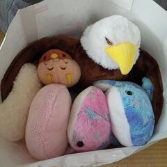 受付終了！ぬいぐるみ　