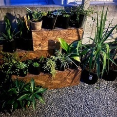 鉢スタンド　差し上げます。の画像