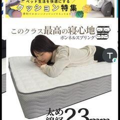 セミダブルベット