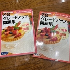 Z会　グレードアップ問題集小学3年国語　2冊セット