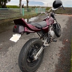 エイプ50の画像