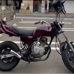エイプ50の画像