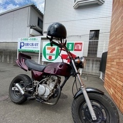 エイプ50の画像