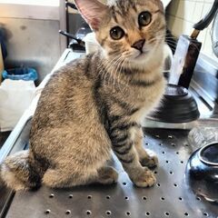 甘えっ子丸君！