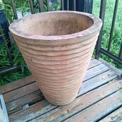 大型　植林鉢　陶器