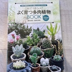 よく育つ多肉植物