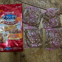 グランデリ（ドッグフード）今日限定0円の画像