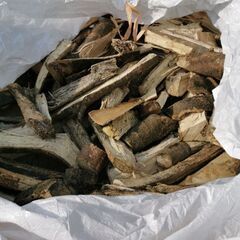 🔥コスパ薪　エノキ薪不揃い　未乾燥　フレコンバッグ満載　500キロ