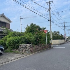 剪定、草刈り