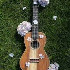 Do you play the ukulele? ウクレレを弾く...