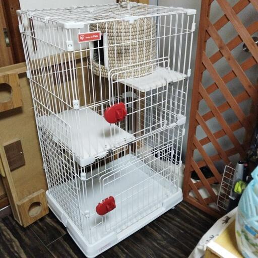 キャットケージ