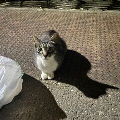ぱっちりおめめの心優しい女の子お気に入りから解除する
