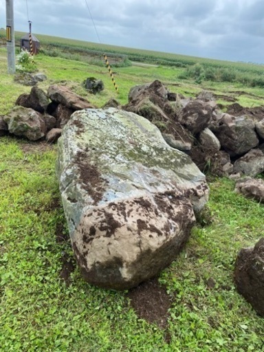 庭石　青石？　ガーデニング