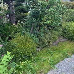 草抜き