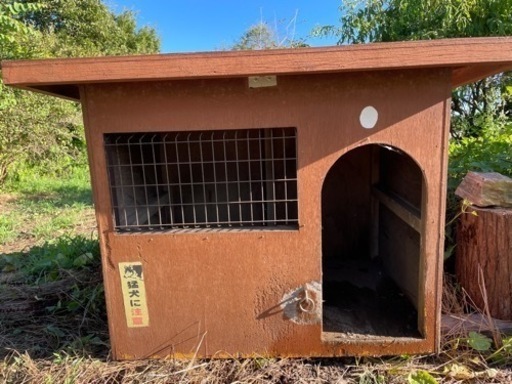 犬小屋中型犬外飼い木製手作り (かぶとら) 常陸太田の家具の中古 