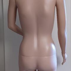 値下げ　全身トルソー　美品　ヘッドあり