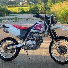 ホンダ　XR BAJA　/MD30 /16,916K /全国配送可 /直接引き取り可能】千葉県白井市よりの画像