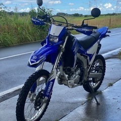 ヤマハ　WR250R/DG15J-000 /33610km /全国配送可 /直接引き取り可能 千葉県より（ユーチューブ動画有り）の画像