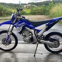 ヤマハ　WR250R/DG15J-000 /33610km /全国配送可 /直接引き取り可能 千葉県より（ユーチューブ動画有り）の画像