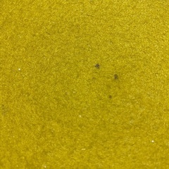 ウォーベル　バランスボードの画像