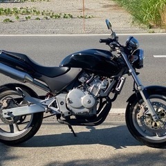 HONDA ホーネット２５０/19809KM /全国配送可 /直接引き取り可能 千葉県よりの画像