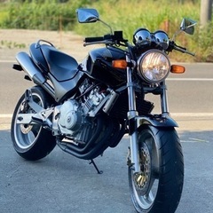 HONDA ホーネット２５０/19809KM /全国配送可 /直接引き取り可能 千葉県よりの画像