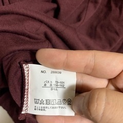 エンジ系　カットソーの画像