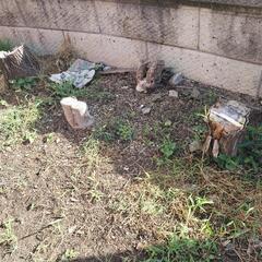 便利屋してます