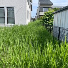 人助けビジネスで稼ぎませんか？の画像