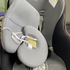 チャイルドシート　無料　本日限り