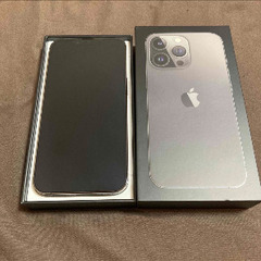 P65 超美品 iPhone13 256GB おまけ付き P65 超美品 iPhone13 256GB おまけ付き 超美品】 おまけ付き iPhone 15 Pro