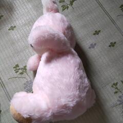 大きいぬいぐるみ の画像