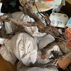 ベランダ庭に使っていた土＆枝　木　インテリアに　石　岩の画像