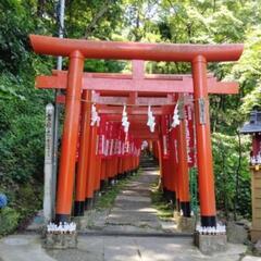 一緒に神社仏閣・パワースポット巡り､アウトドア等できる40代50代60代の友達募集✨ - メンバー募集