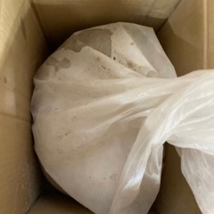DIYに‼️ 砥の粉(トノコ)10kg(体感)の画像